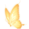 Yellow_But