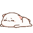 AMcatlazy