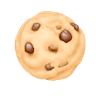 8936cookiewithchocochips