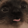 emoji_362