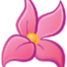 pink_flower