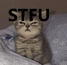 6304catstfu