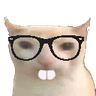 4022bruhcatmelvin