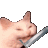 catsword