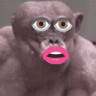 lipstickchimp