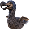 dodo