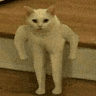 emoji_172