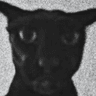 emoji_224