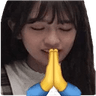 yujinprayge