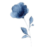 flower_blue