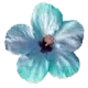 flowerblue