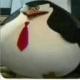 1071537426687864842