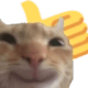 1063176696456552598