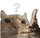 1063176414070837338