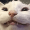 emoji_490