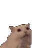 emoji_385