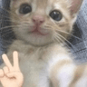 emoji_491
