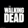 icon_474a5521b541c499f3c2a9a7ce4