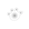 8_