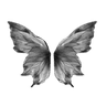 7881butterfly