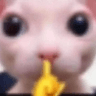 emoji_110