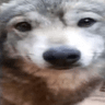 emoji_186
