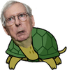 mitch_turtle