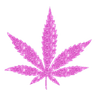 Weed_Pink65