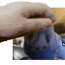emoji_216