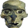 Skull_Skully_TikTokVideoServer