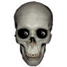 Skull_TikTokVideoServer