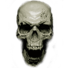 SkullTikTokVideo