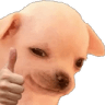 11041693276341657911