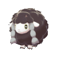 shwooloospin