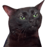 emoji_147
