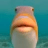 795601462122119218