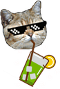 mojitocat_reg