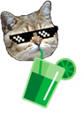 mojitocat_med