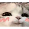 cat_cute