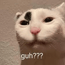 guh