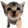 emoji_156
