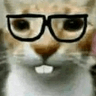 emoji_158