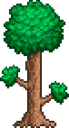 Terraria