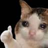 catt