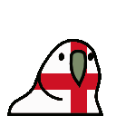 novaparrot