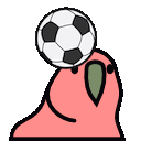 footballparrot