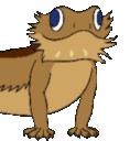 lizardvibe