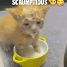 emoji_16