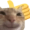 gato_thumbsup