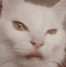 Grinchlips